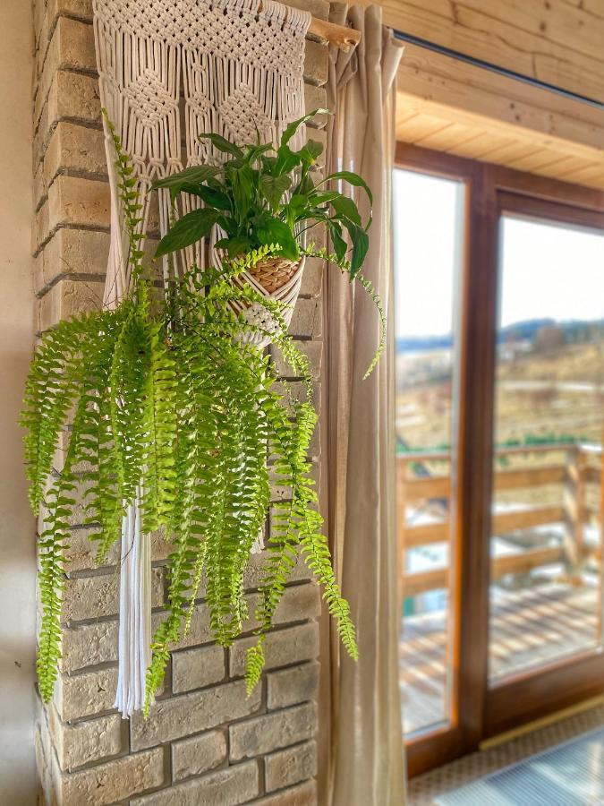 Dziejba Lesna Apartamenty &Spa - Piekne I Nowe Apartamenty I Domek, Sauna I Jacuzzi - W Cenie I Na Wylacznosc, 1 Km Od Stoku Jaworki Ngoại thất bức ảnh