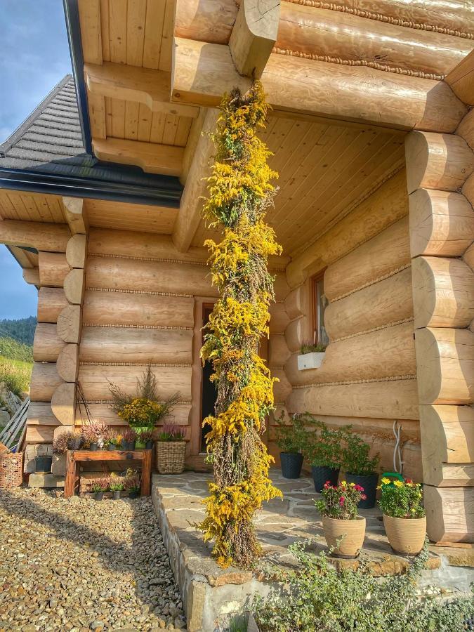 Dziejba Lesna Apartamenty &Spa - Piekne I Nowe Apartamenty I Domek, Sauna I Jacuzzi - W Cenie I Na Wylacznosc, 1 Km Od Stoku Jaworki Ngoại thất bức ảnh